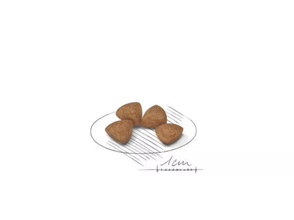 Royal Canin SHN X-SMALL Puppy maistas jauniems šuniukams 1,5 kg