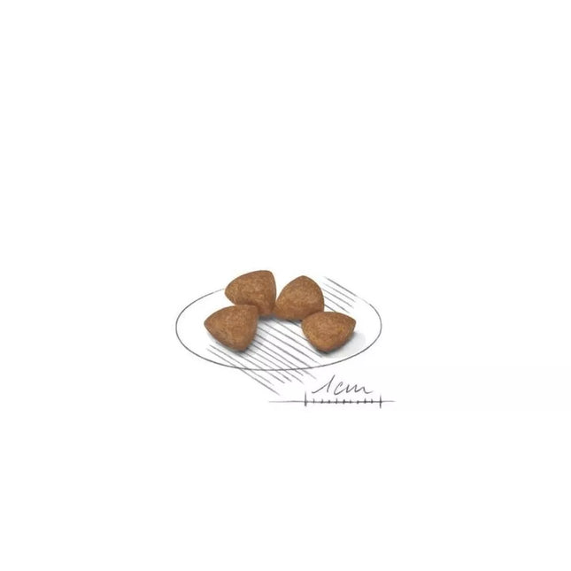 Royal Canin SHN X-SMALL Puppy food for young puppies 1.5 kg