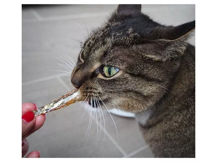 Dried Fish Cat Treat, 50 g