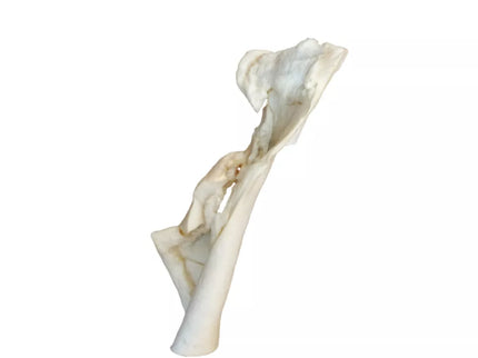 Dried Cowhide Dog Chews, 5 Count