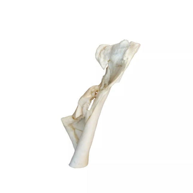 Dried Cowhide Dog Chews, 5 Count