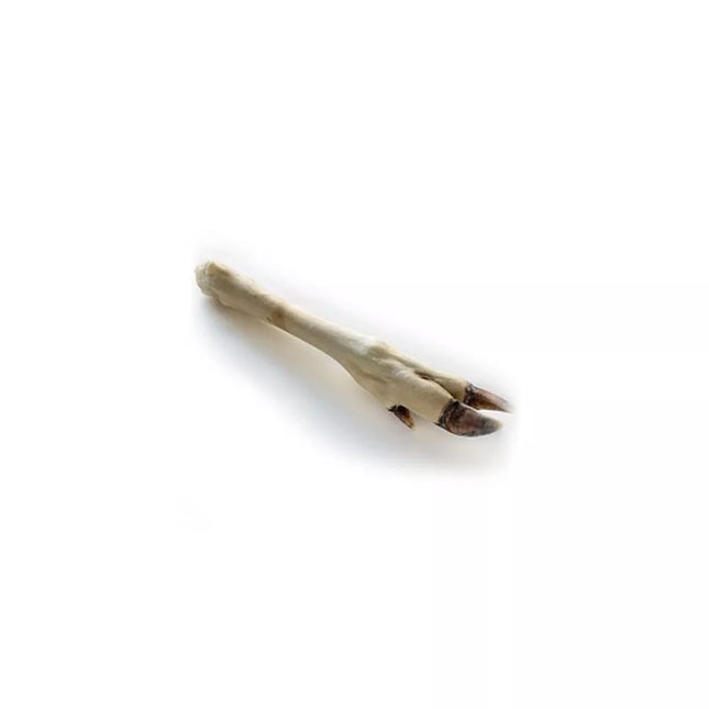 Dried White Deer Leg Dog Treat (10 pcs)