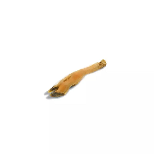 Dried Deer Leg Dog Treat, Brown, 1 pc.