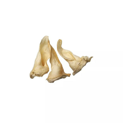 Collection image for: Dog treats