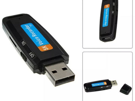 Slaptas USB Diktofonas