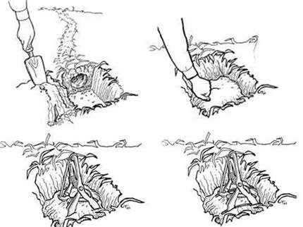 Spąstai Kurmiams su rankenomis