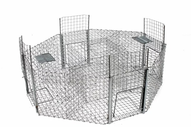 Spąstai paukščiams