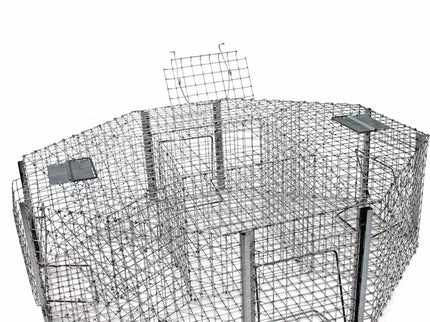 Spąstai paukščiams