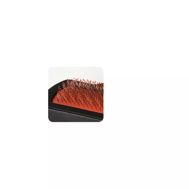Wire brush