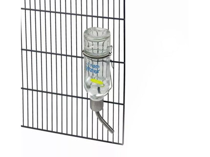 Rodent glass water bottle, 177 ml