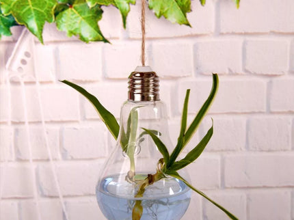 Stiklinė lemputė - terariumas