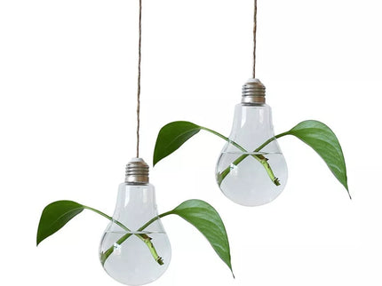 Stiklinė lemputė - terariumas