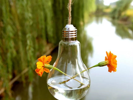 Stiklinė lemputė - terariumas