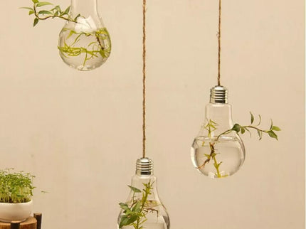 Stiklinė lemputė - terariumas