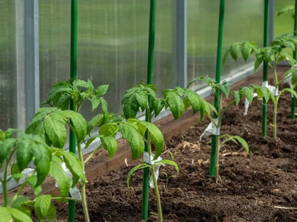 Stulpelio atrama augalams, 10vnt.