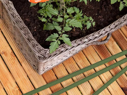 Plant Support Stakes, 10 Pieces