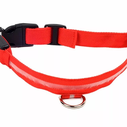Šviečiantis LED antkaklis