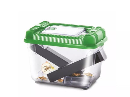 Cricket Terrarium, 18x12x14 cm