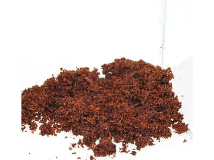 JBL TerraCoco Coconut Humus 600 g