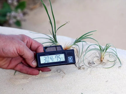 JBL TerraSand Natural White sand for terrariums 7.5 kg