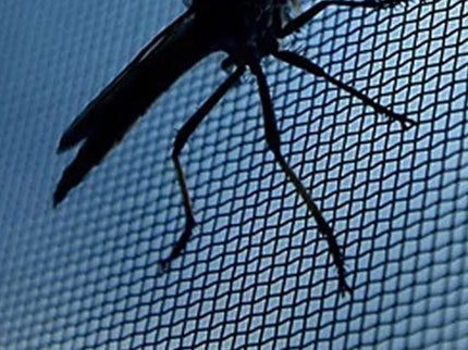 Tinklelis Nuo Vabzdžių Langams 150X130 CM