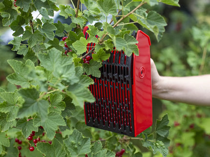 Uogų skynimo šukos