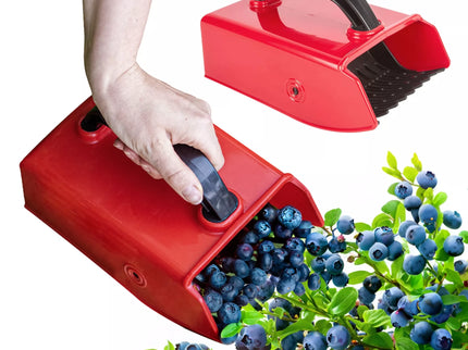 Uogų skynimo šukos