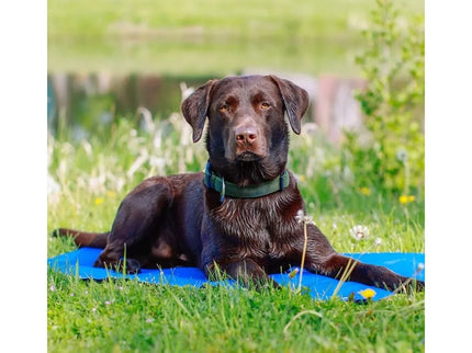 Cooling Mat for Dogs Ice XL, 110x70 cm
