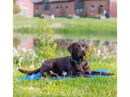 Cooling Mat for Dogs Ice XL, 110x70 cm