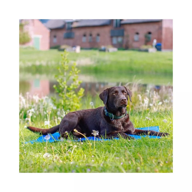 Cooling Mat for Dogs Ice XL, 110x70 cm