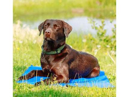 Cooling Mat for Dogs Ice XL, 110x70 cm