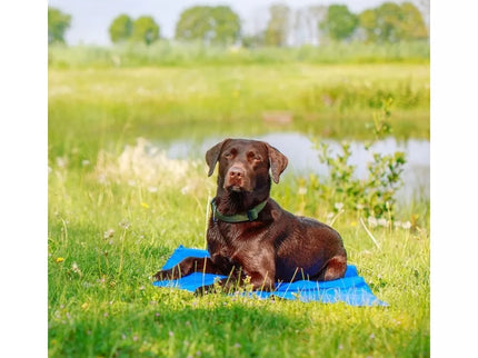 Cooling Mat for Dogs Ice XL, 110x70 cm