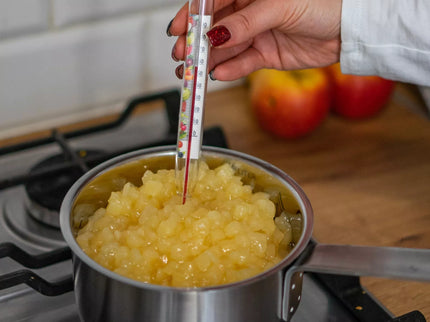 Virtuvės termometras