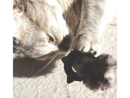 Žaislas katėms katžolės žiedas, 11 cm