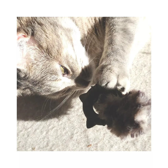 Catnip flower toy, 11 cm