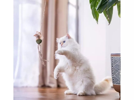 Cat Wand Toy with Ball