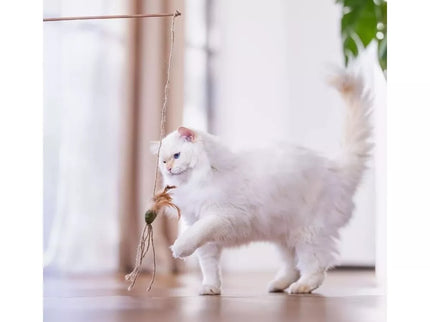 Cat Wand Toy with Ball
