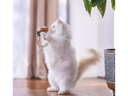 Cat Wand Toy with Ball