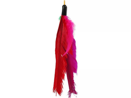 Magic Cat Feather Wand Toy for Cats, 45 cm