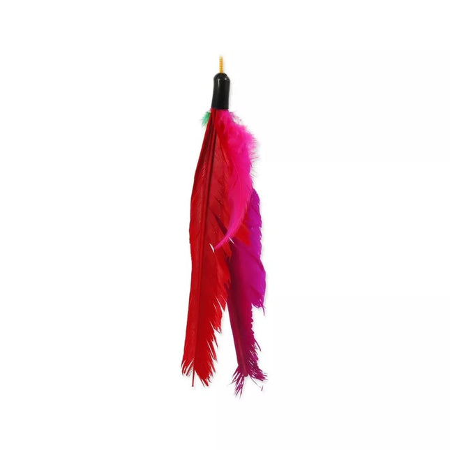 Magic Cat Feather Wand Toy for Cats, 45 cm