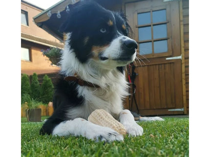 Žaislas šunims guminis žemės riešutas, 11 cm