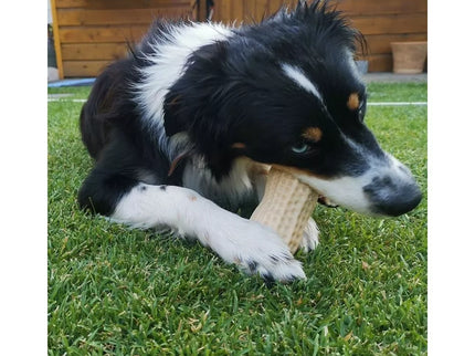 Žaislas šunims guminis žemės riešutas, 11 cm