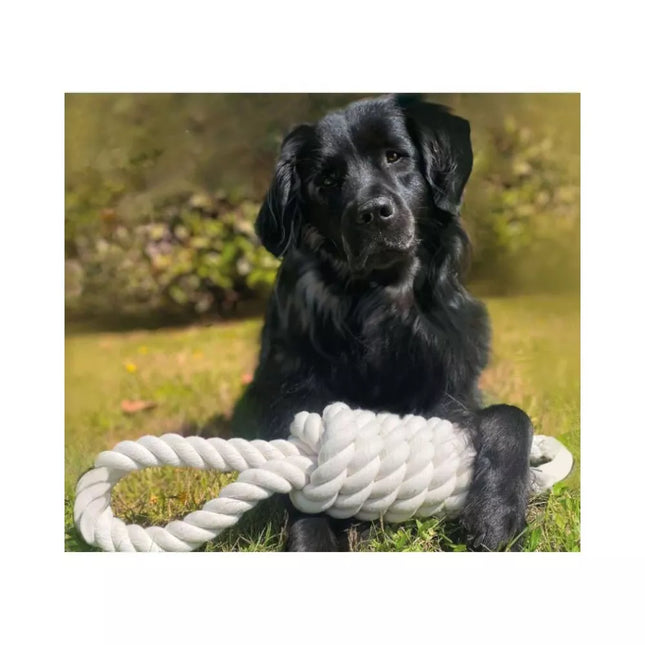 Natural Rope Dog Toy with 2 Loops, XXL, 60 cm
