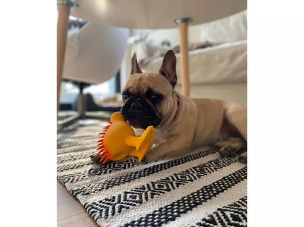 Latex Squeaky Kiwi Dog Toy, Orange, 8.5 cm, S