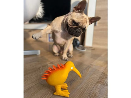 Latex Squeaky Kiwi Dog Toy, Orange, 8.5 cm, S