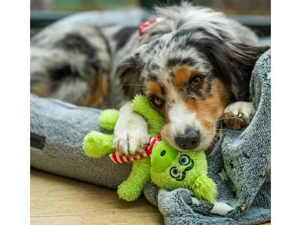 Žaislas šunims pliušinis Grinčas, 25 cm