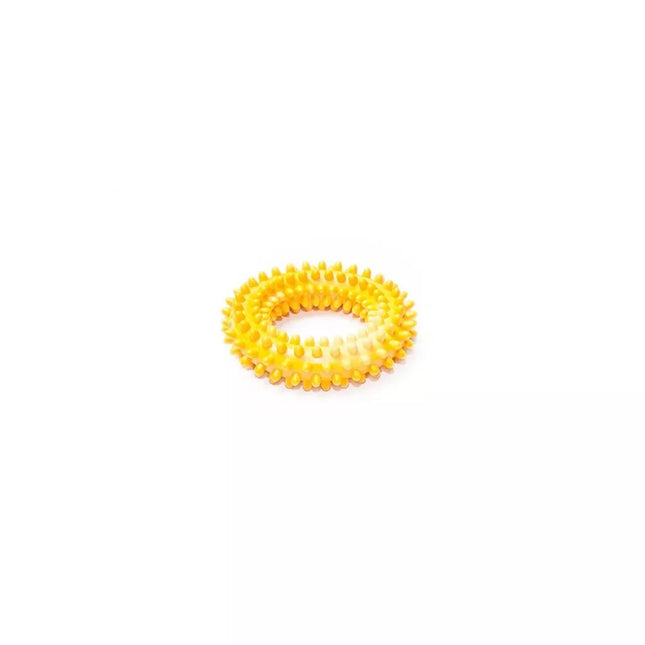 Dog Ring Toy with Spikes, Size S, 10 cm
